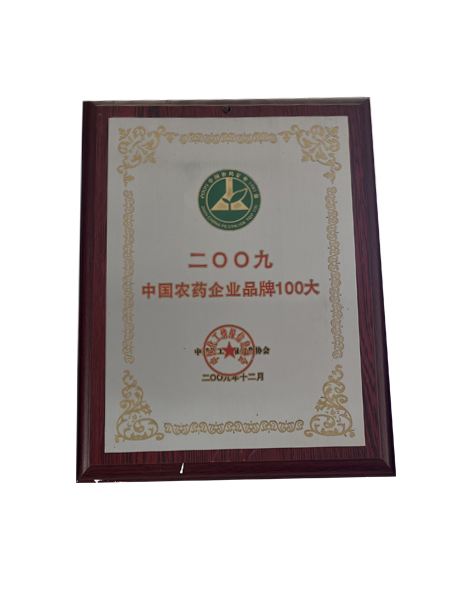 山东鲁鹏化工有限公司