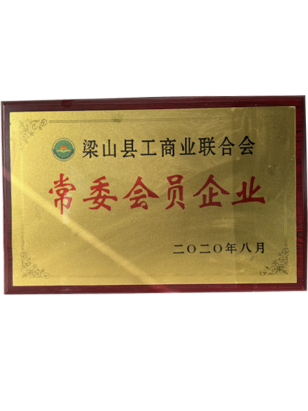 山东鲁鹏化工有限公司