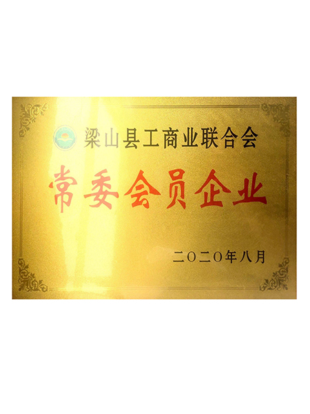 山东鲁鹏化工有限公司