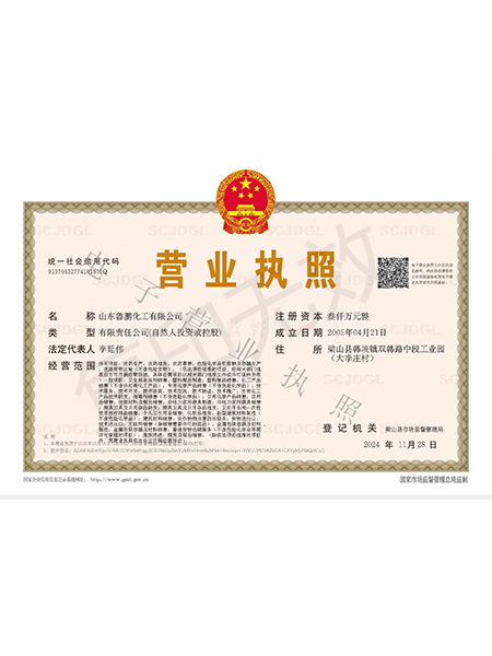 山东鲁鹏化工有限公司