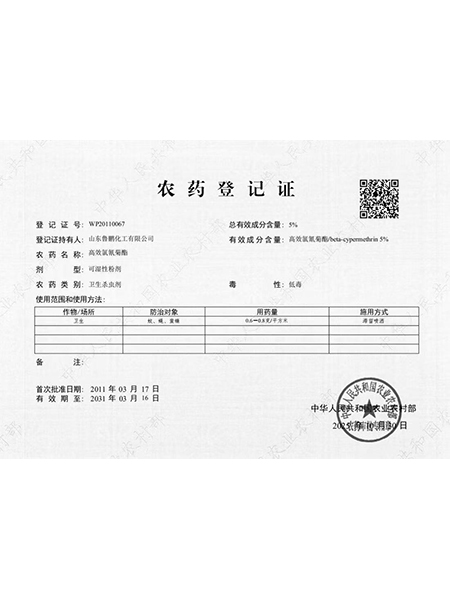 山东鲁鹏化工有限公司